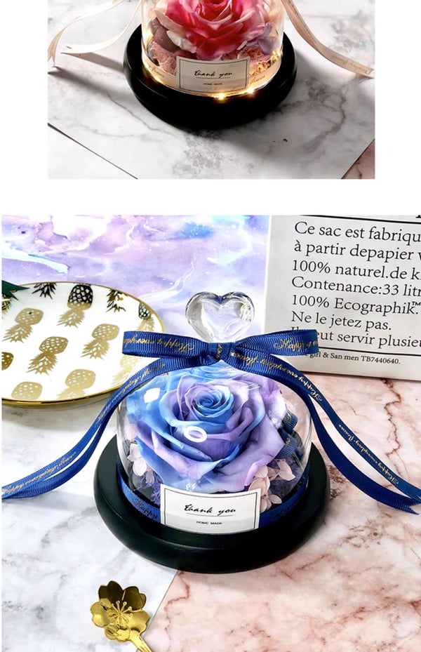 Preserved Carnation & Rose Gift Box – Eternal Flower Bouquet | Mother’s Day, Valentine’s, or Birthday Gift for Wife or Girlfriend | Elegant Dried Floral Arrangement