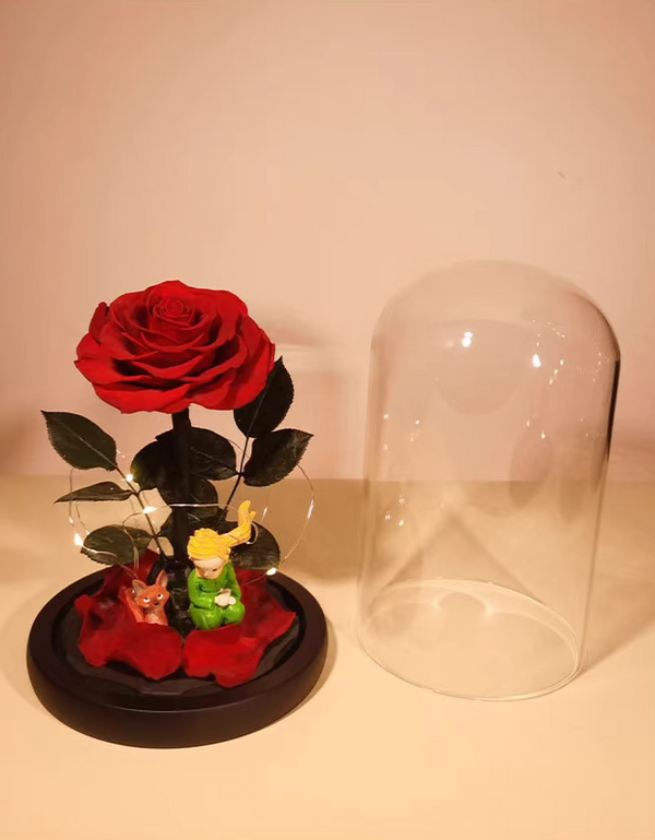 "The Little Prince" Preserved Red Rose – Eternal Flower Gift Box | Romantic Gift for Girlfriend, Mom | Valentine's, Birthday, or Mother's Day Present