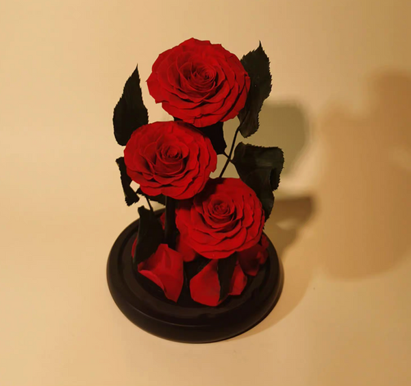 Valentine’s Day / Mother’s Day Gift - Preserved Red Rose Flower Gift Box Ornament for Girlfriend, Friend, or Mom's Birthday