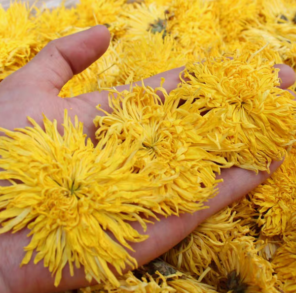 Premium Golden Emperor Chrysanthemum Tea – Whole Yellow Tribute Blooms | Gourmet Herbal Tea | Large Bloom Infusion | Soothing & Caffeine-Free